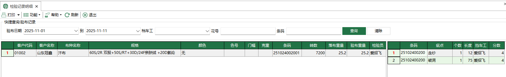 圖1 檢驗記錄明細